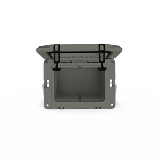 Grizzly 20
